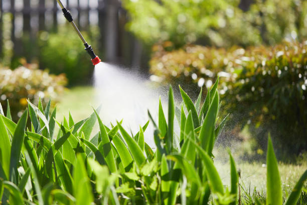 24/7 Emergency Mosquito Control experts in Monarch Mill, SC